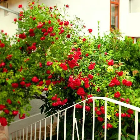 Πανσιόν Villa Feba *